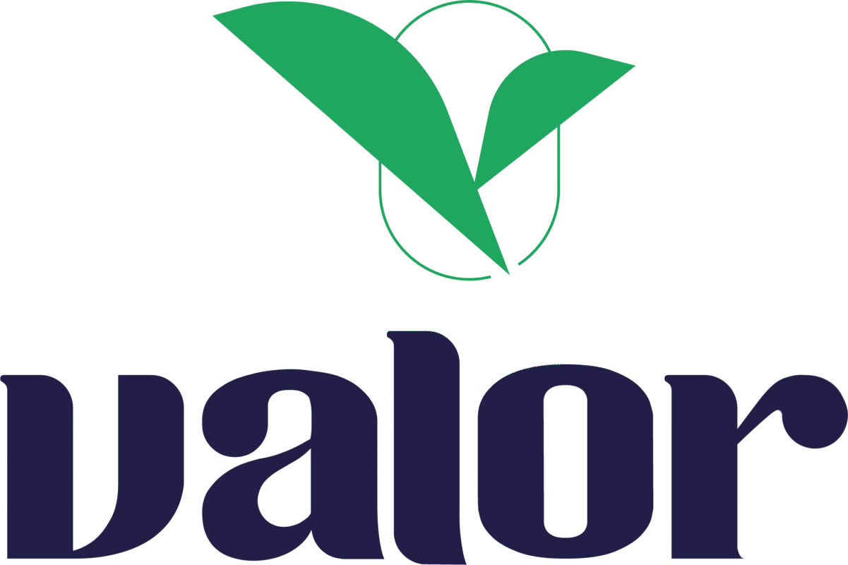 valor fashion